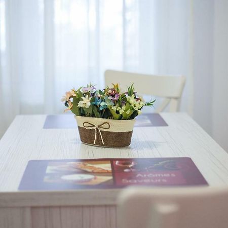Apartament Elena Târgu-Mureş Zewnętrze zdjęcie